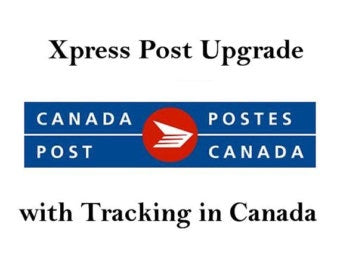 Domestic Express Shipping